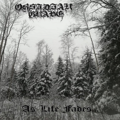 Obsidian Grave : As Life Fades...